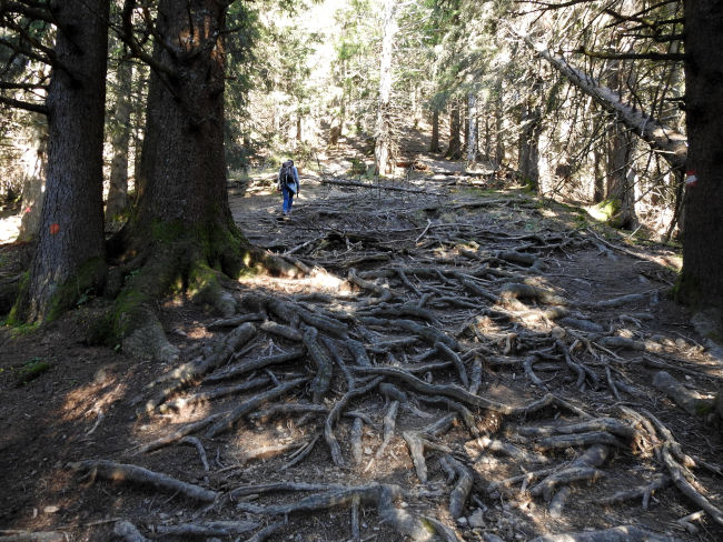 badersee blog spitzenwanderweg etappe07 029