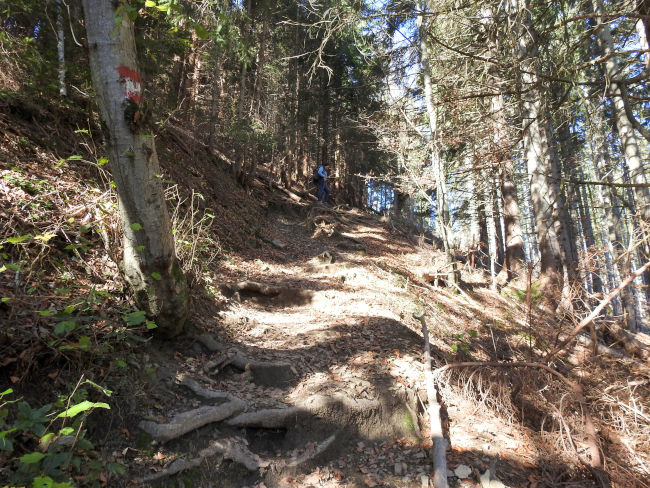 badersee blog spitzenwanderweg etappe07 026