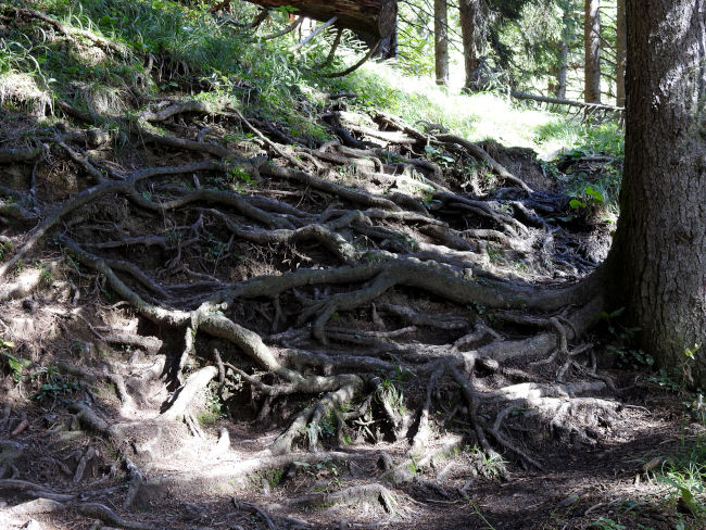 badersee blog spitzenwanderweg etappe07 029