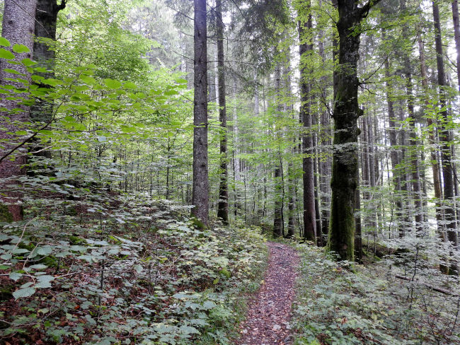 badersee blog spitzenwanderweg etappe07 013