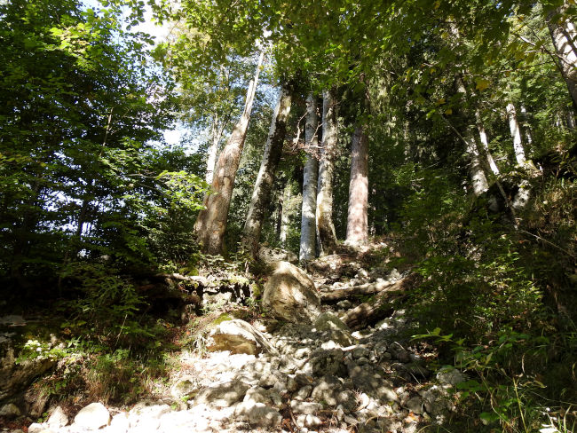 badersee blog spitzenwanderweg etappe07 023