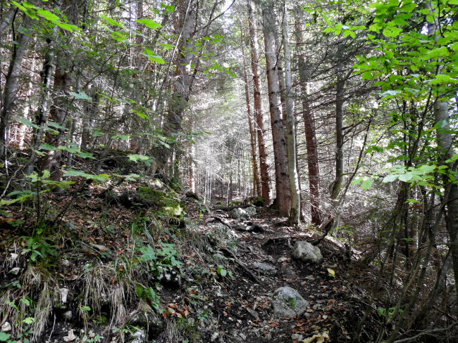badersee blog spitzenwanderweg etappe07 016