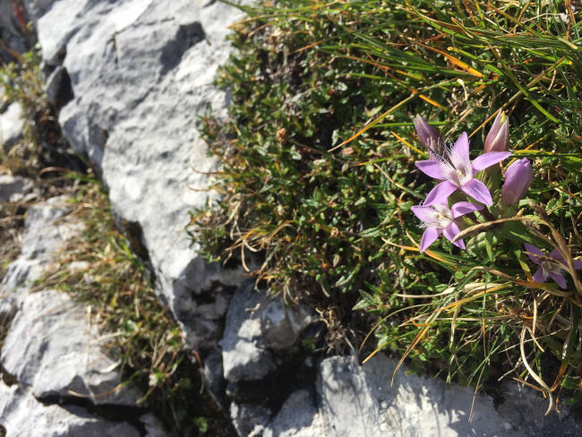 badersee blog klettern alpspitze 12