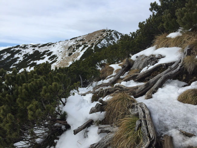 badersee blog schneewanderung notkarspitze 55