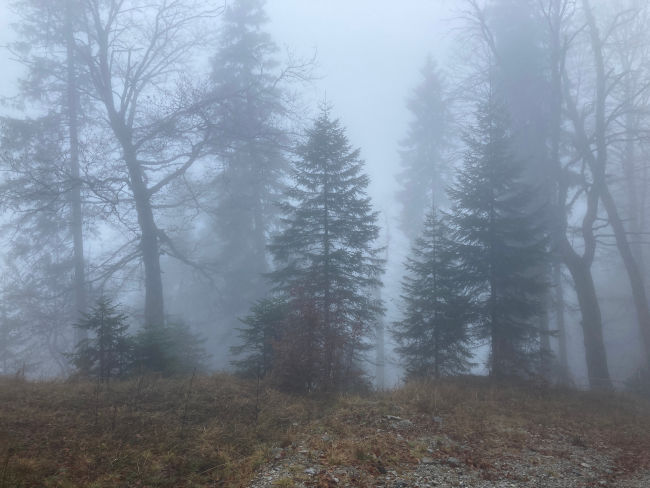 badersee blog schneewanderung notkarspitze 01