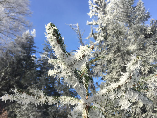 badersee blog schneewanderung notkarspitze 05