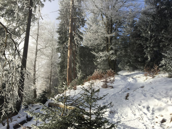 badersee blog schneewanderung notkarspitze 06