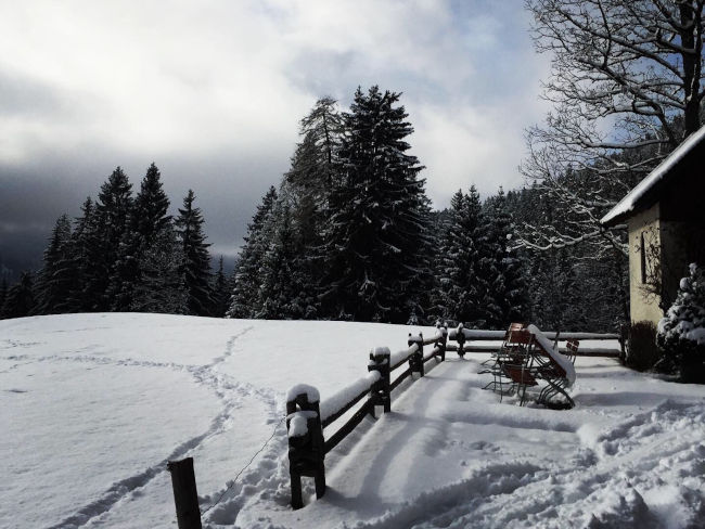 badersee blog ausflug gschwandtnerbauer 15