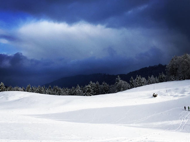 badersee blog ausflug gschwandtnerbauer 17