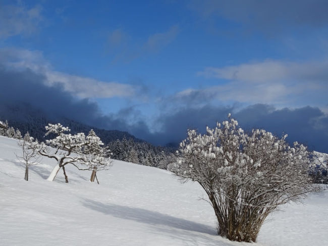 badersee blog ausflug gschwandtnerbauer 20