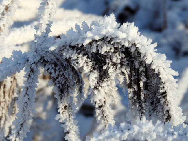 badersee blog barmsee 05