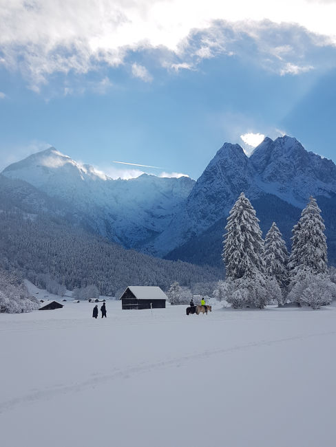 badersee blog leichte winterwanderwege 045 hammersbach