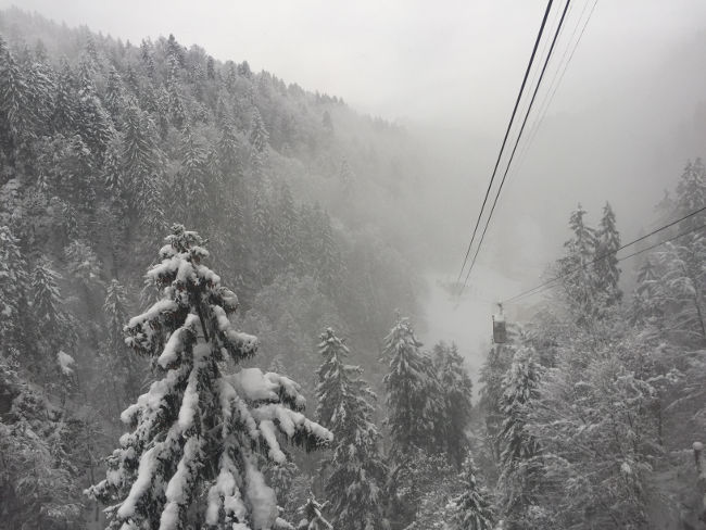 badersee blog hornschlittenrennen 21