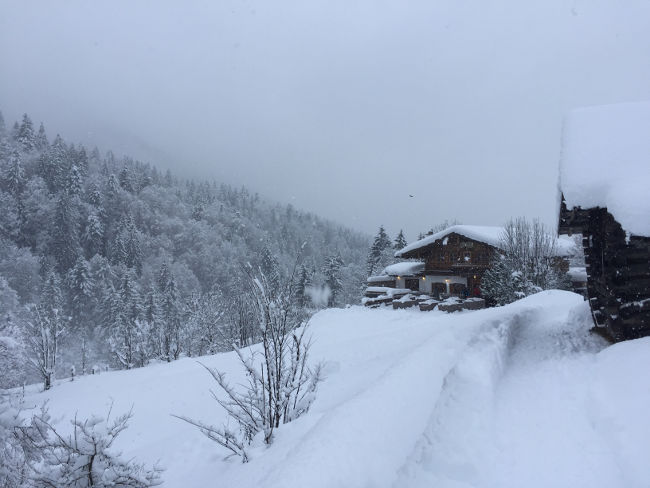 badersee blog hornschlittenrennen 16