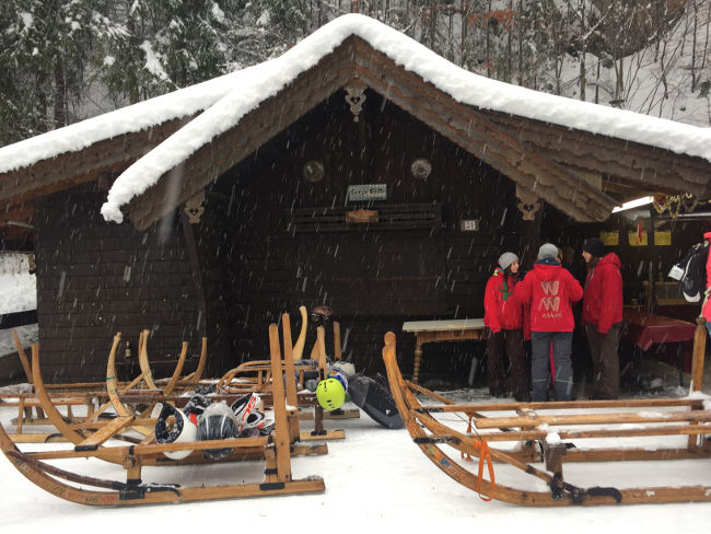 badersee blog hornschlittenrennen 25