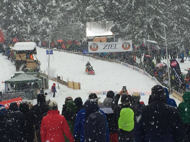 badersee blog hornschlittenrennen 02