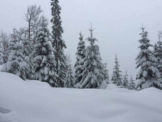 badersee blog skitour scheinbergspitze 10