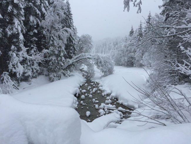 badersee blog skitour scheinbergspitze 01