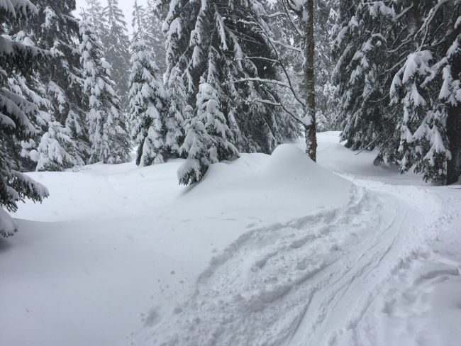 badersee blog skitour scheinbergspitze 08