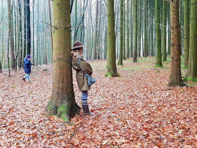 badersee blog waldbaden 01