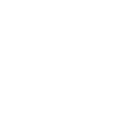 Instagram Icon
