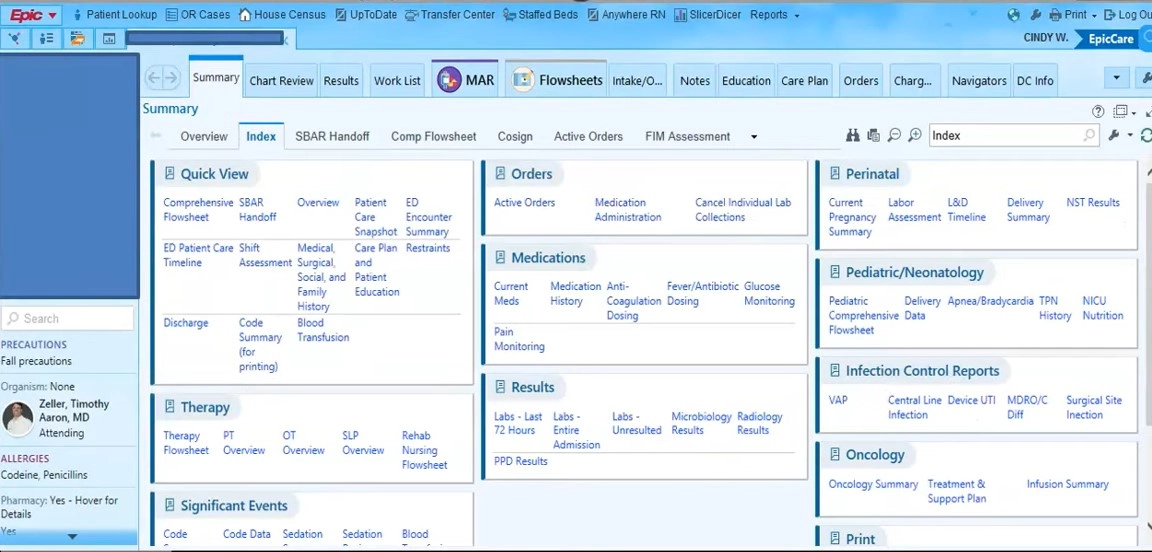 Epic EHR dashboard with client name on the lefthand side, quick view, and separated sections