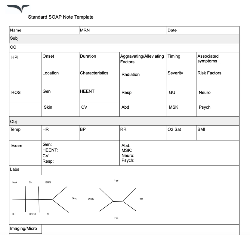 standard soap note clinical note template free pdf download
