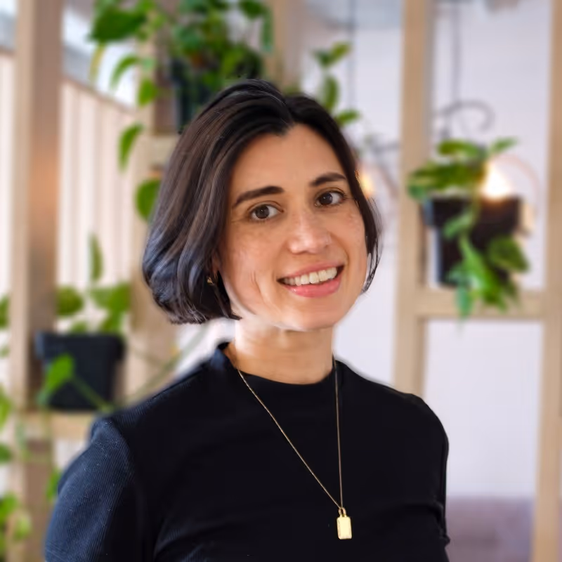 Hire a Ecommerce Fractional CMO