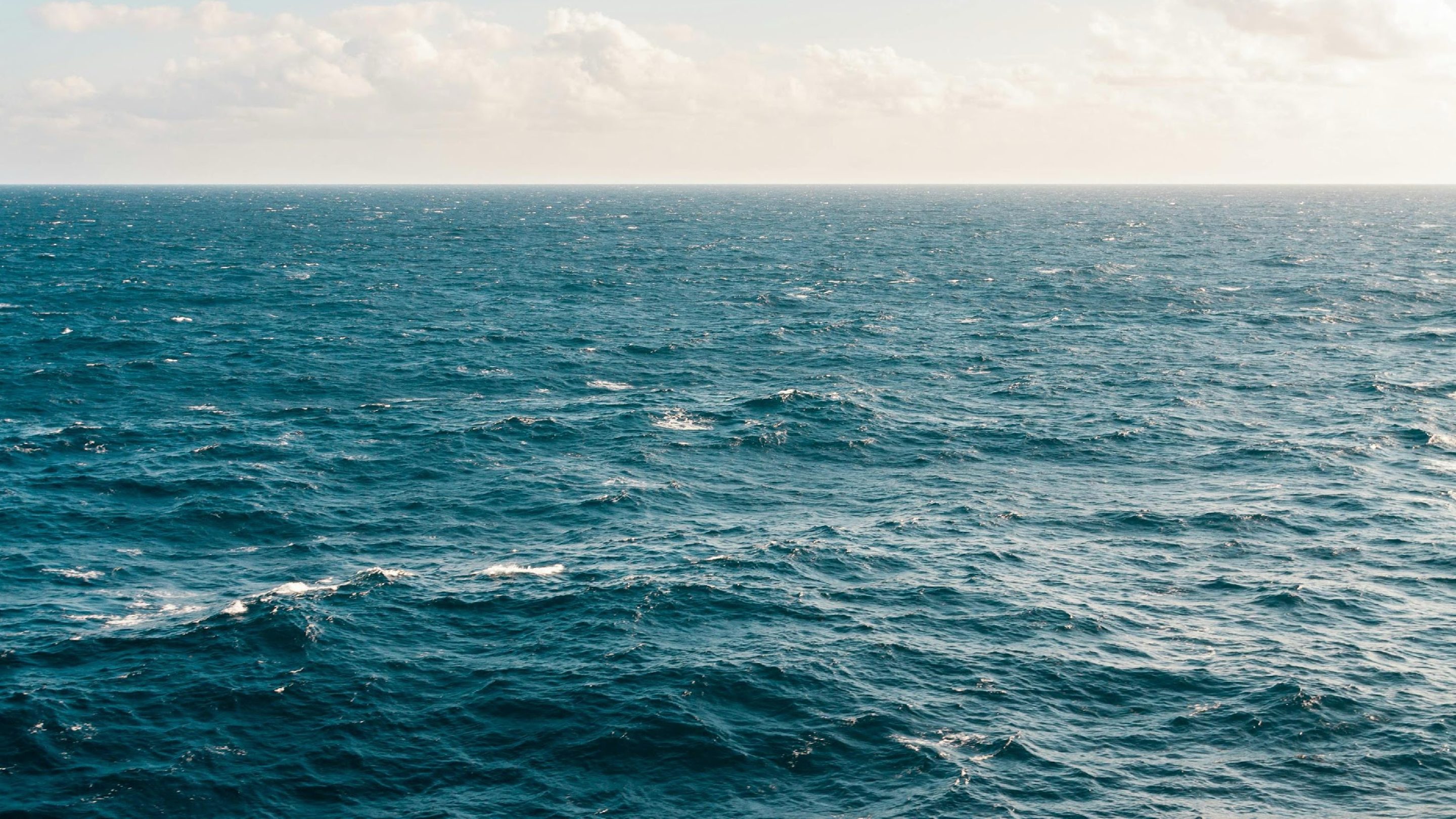 image of hydroponic solution setup for a food and agtech business
