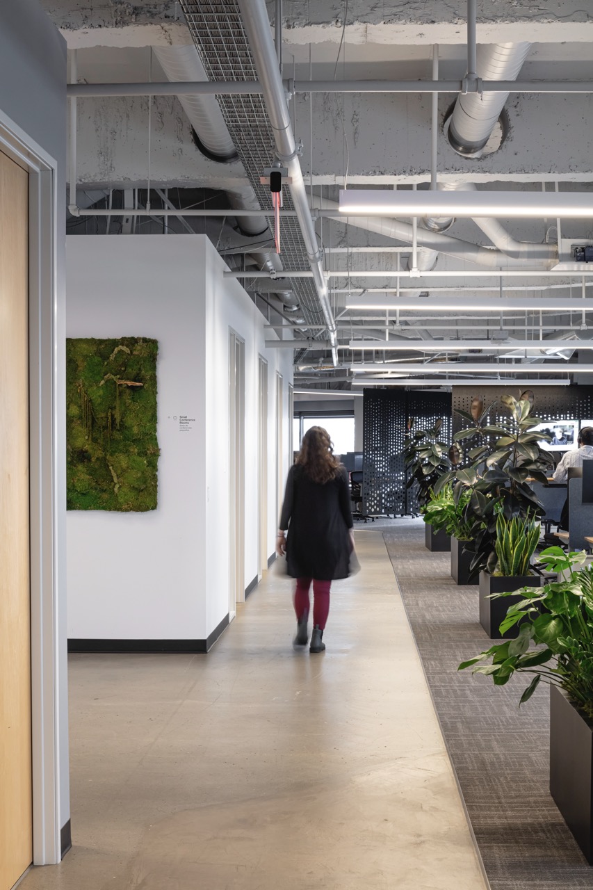 NoNo Alta commercial building project exterior view.