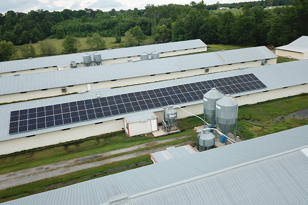 Professional commercial solar instillation 
