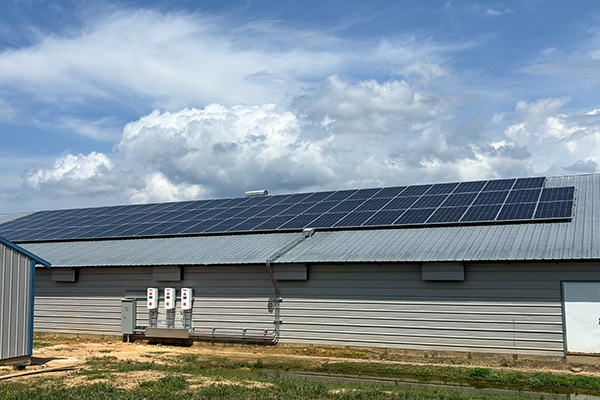 Professional commercial solar instillation 