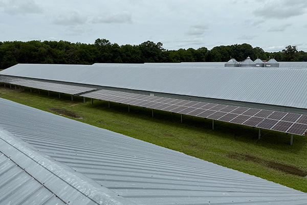 Professional commercial solar instillation 