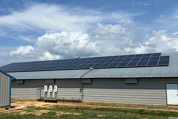 Solar Design and Engineering