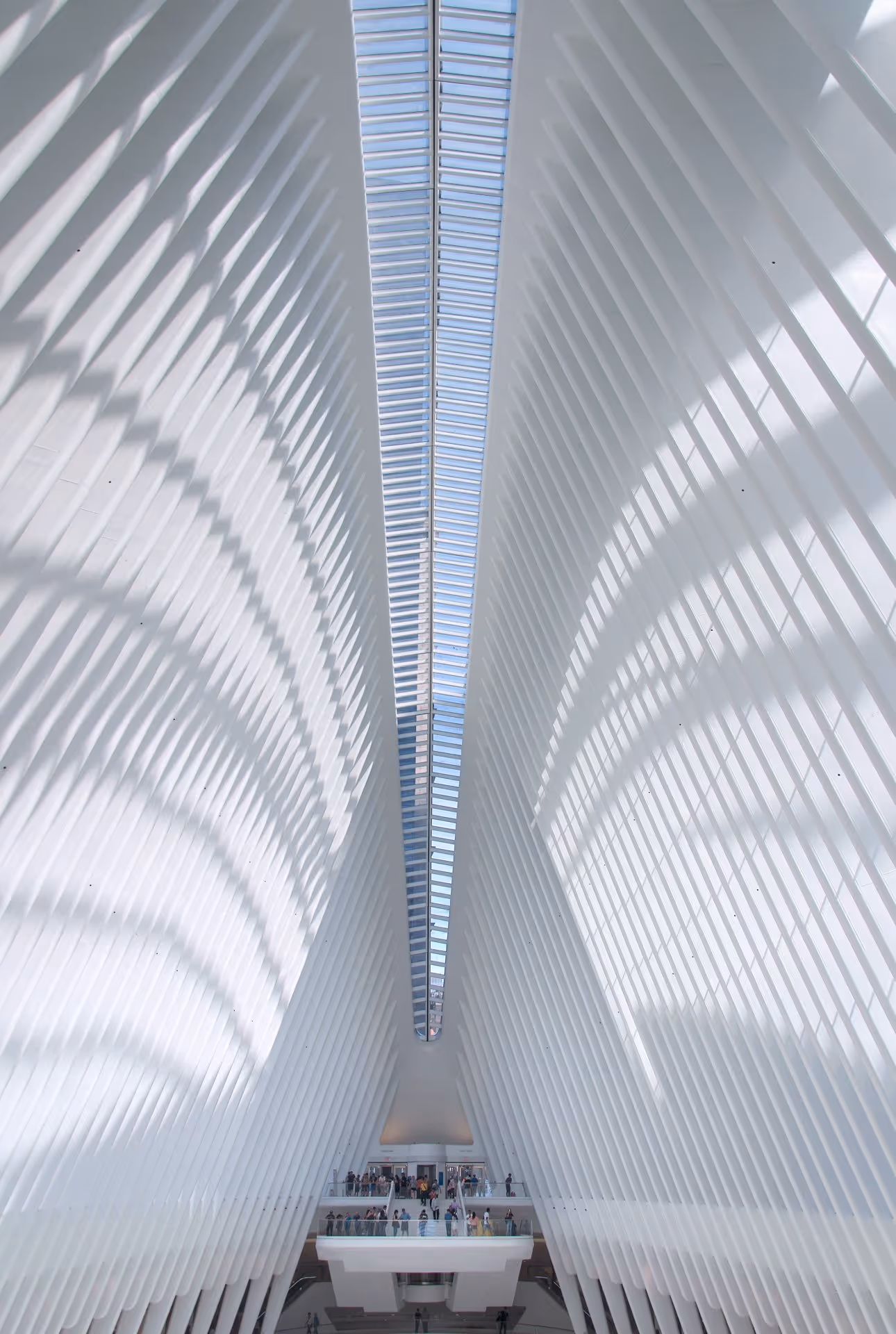 Futuristic architectural interior with white ribbed structure and skylight, contemporary architecture photography