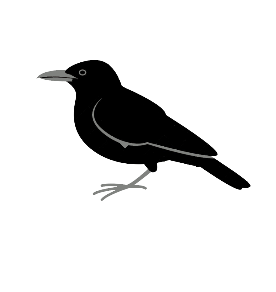 Black and grey parental crow