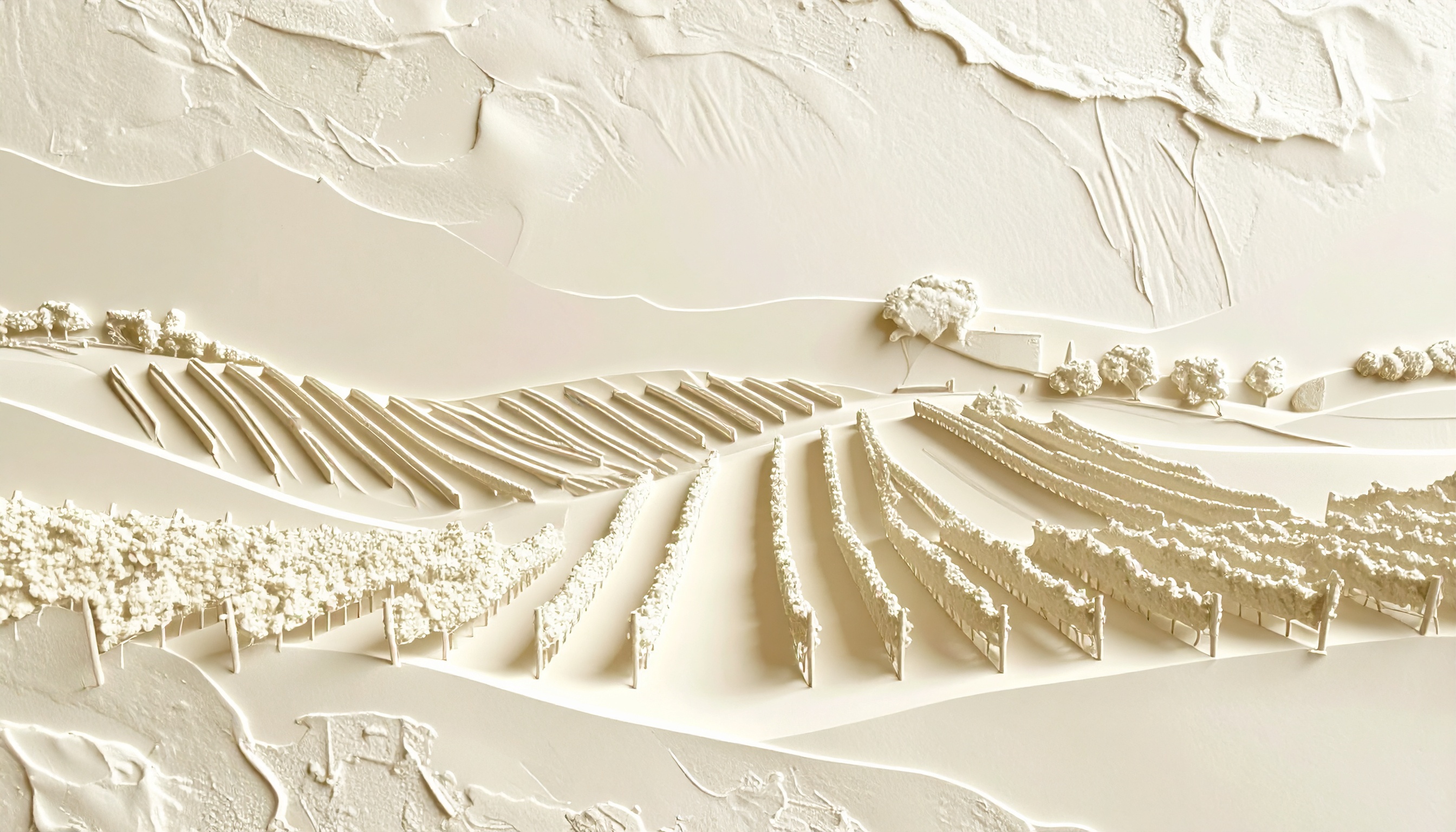 image of vineyard landscape (for a winery)