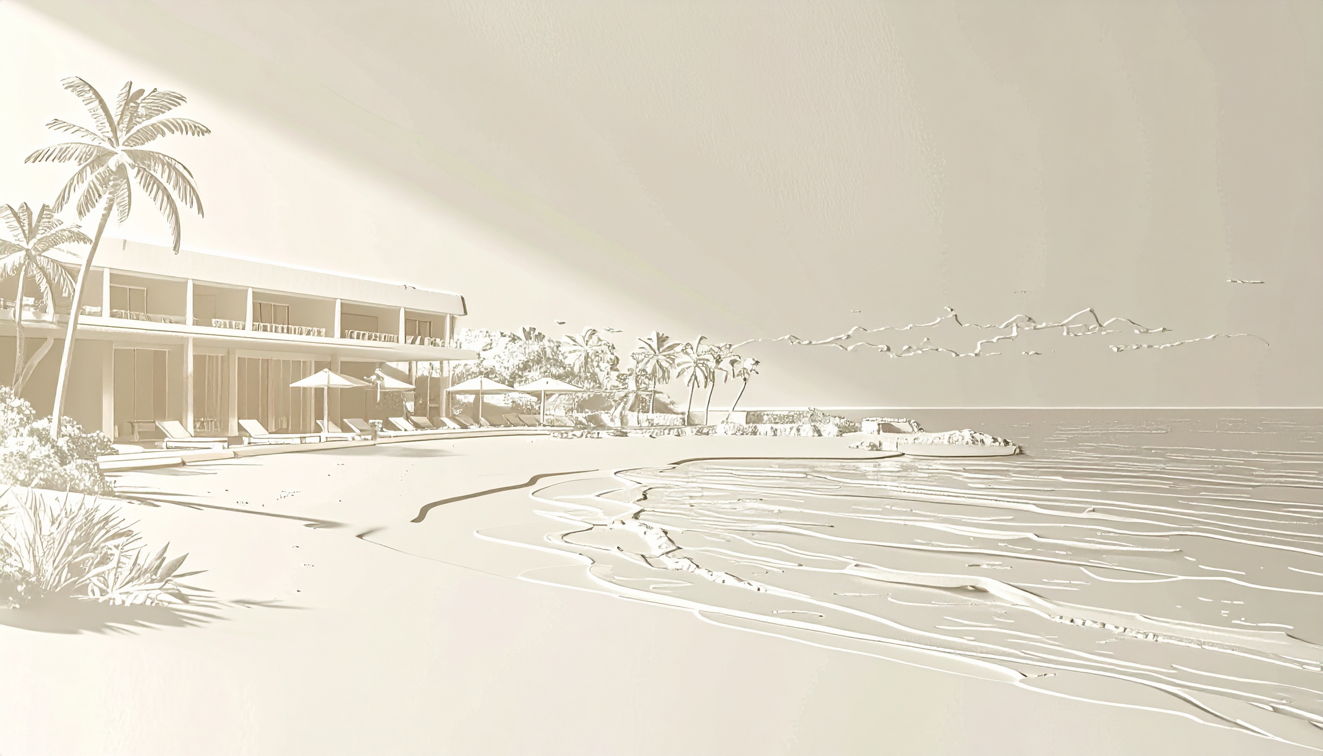 image of vineyard landscape (for a winery)