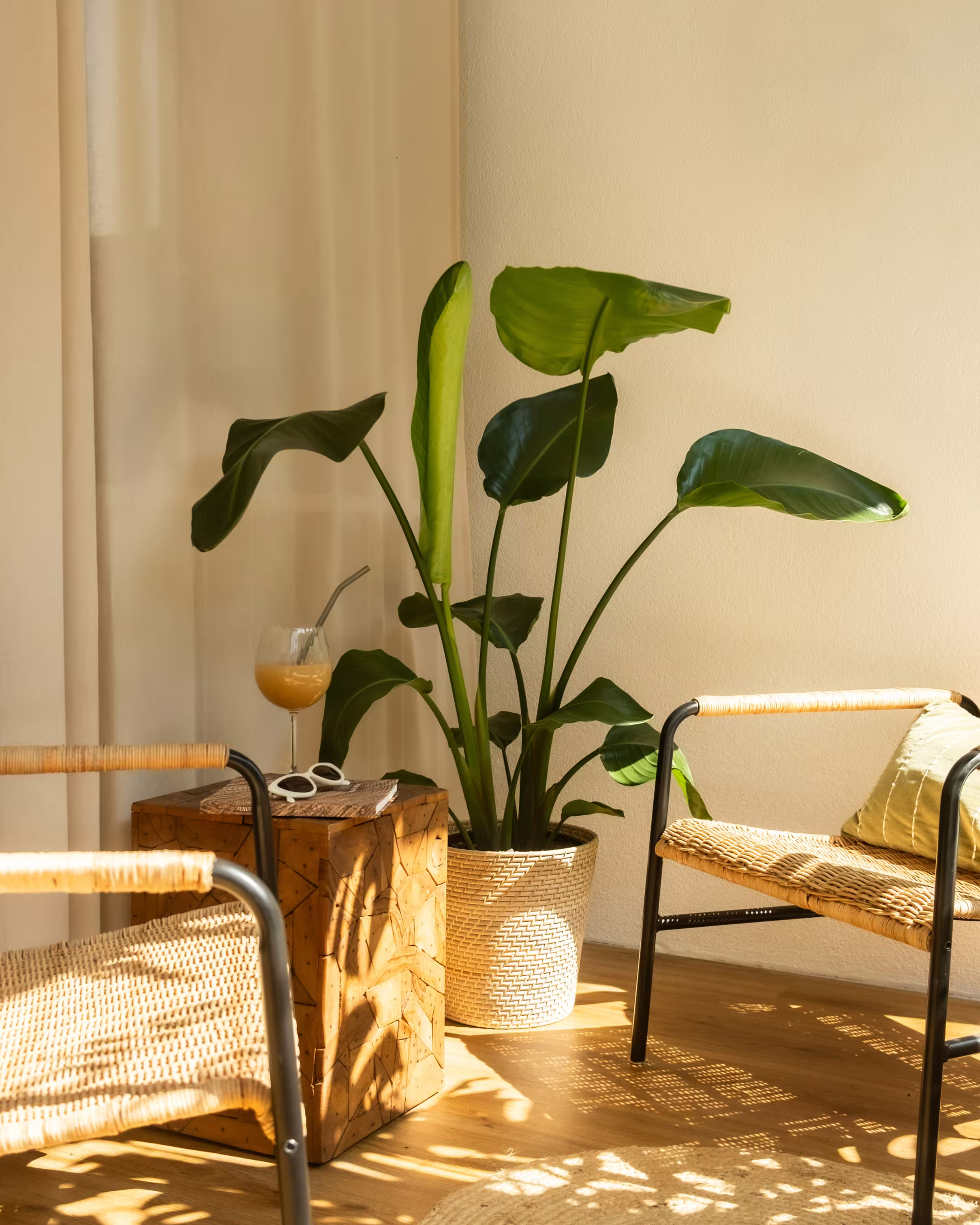 Cozy rooms, hallway lighting, curtains, and a clean logo.