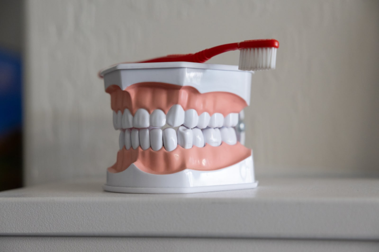 Dental model showing tooth structure and implant placement with red and white gums and a toothbrush.
