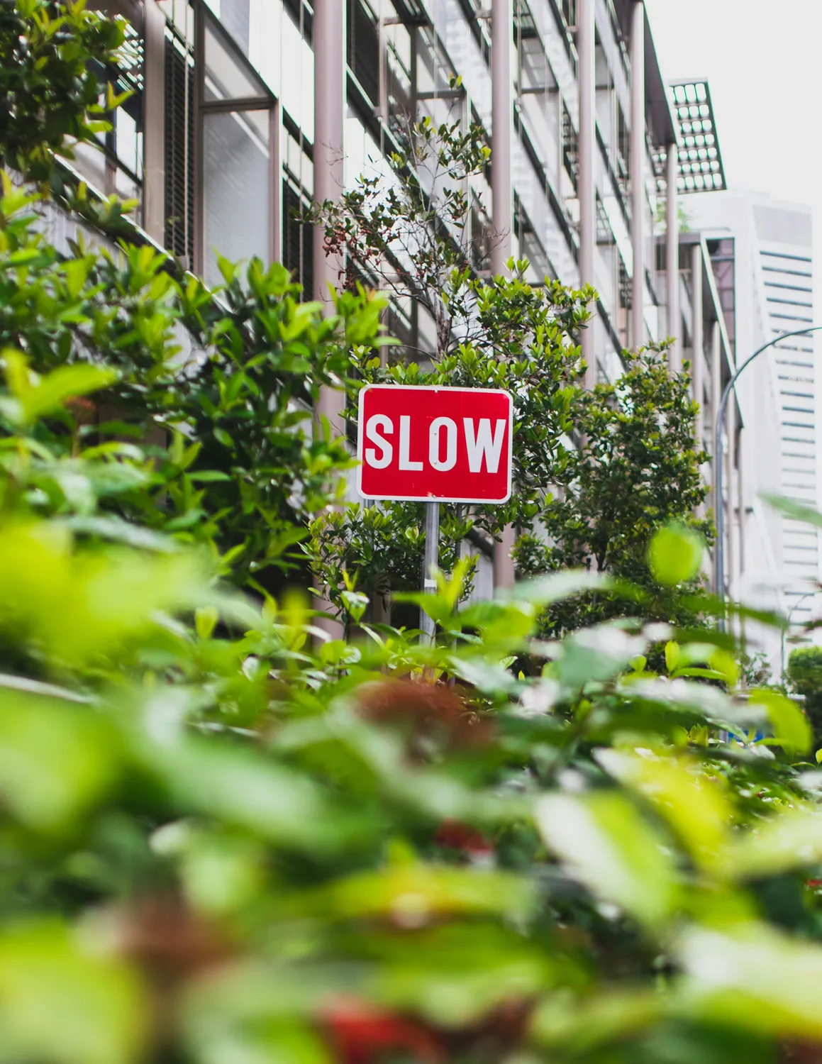 Professionals on a project - Why government AI adoption is slow and why that’s a good thing