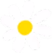 Simple illustration of a white daisy flower with a yellow center.