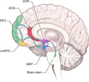 de-escalatin techniques
