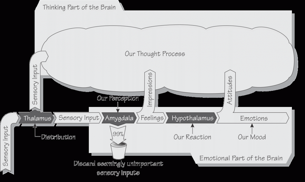 emotional competency