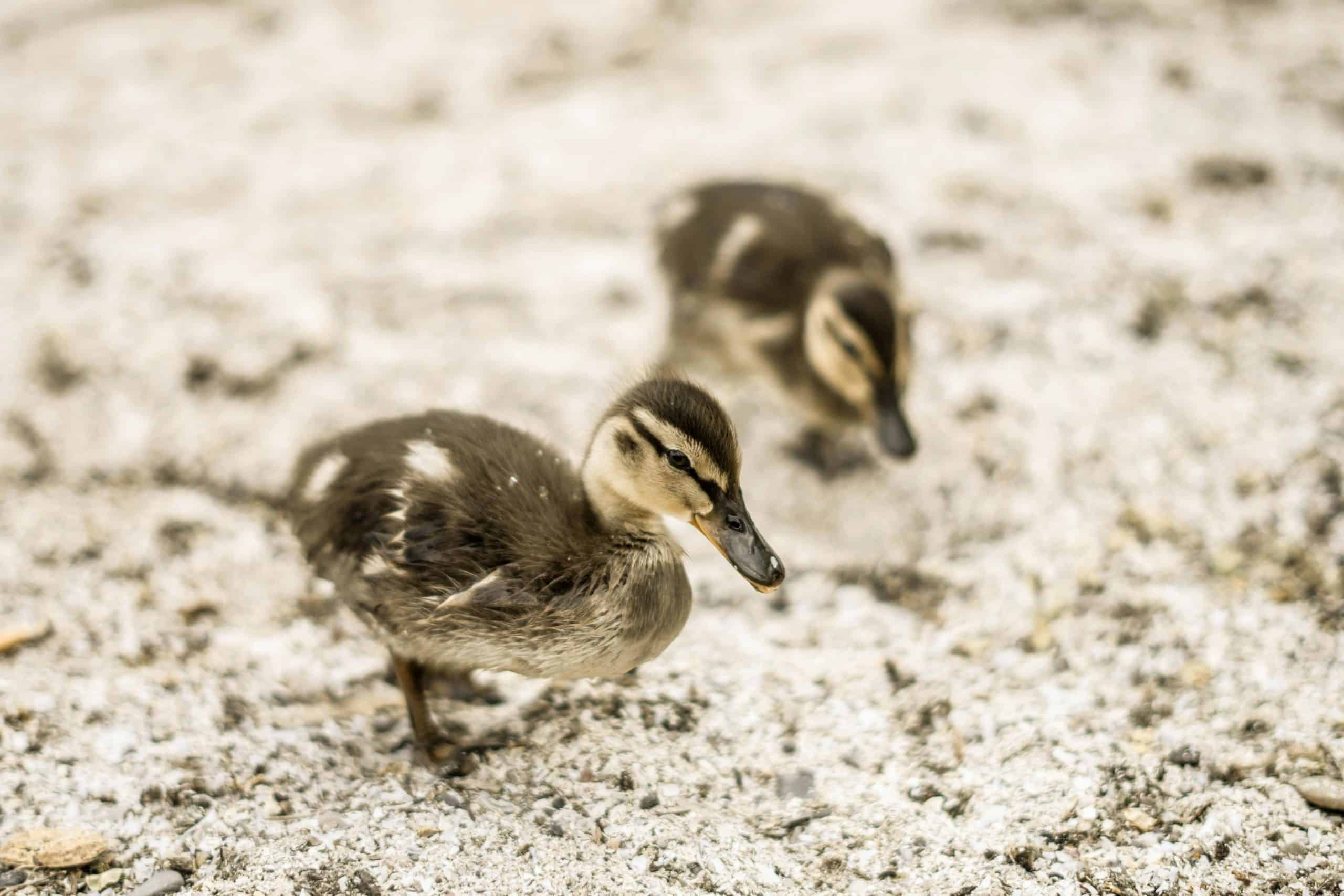 In this blog, learn 5 shocking secrets and keys to help you i keeping your cool with difficult people, even in the face of anger and frustration.