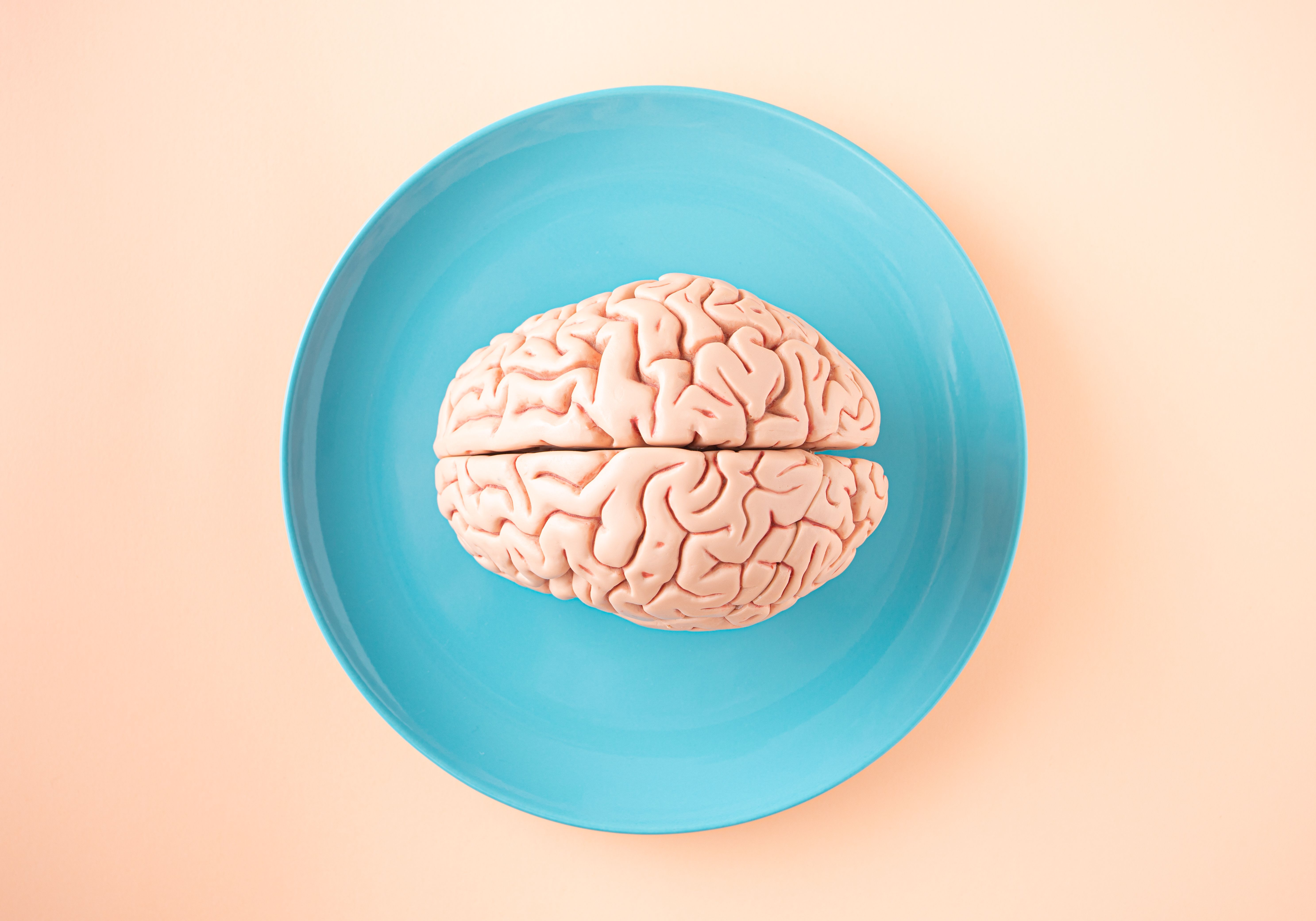 Stressed brains produce worse data. Here is the neuroscience of why and the executive protocol for harvesting better decisions from your senior team.