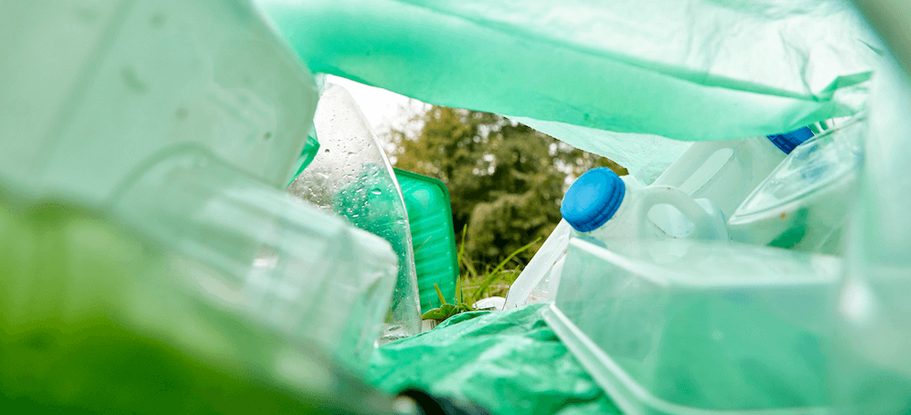 Plastic bag inside view