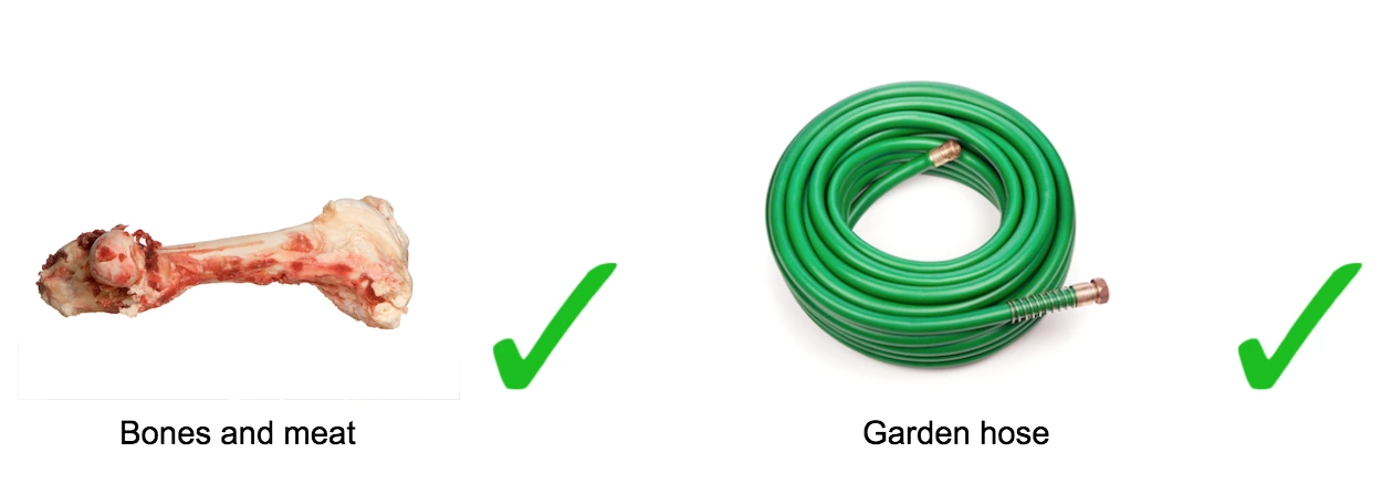 bone and hose