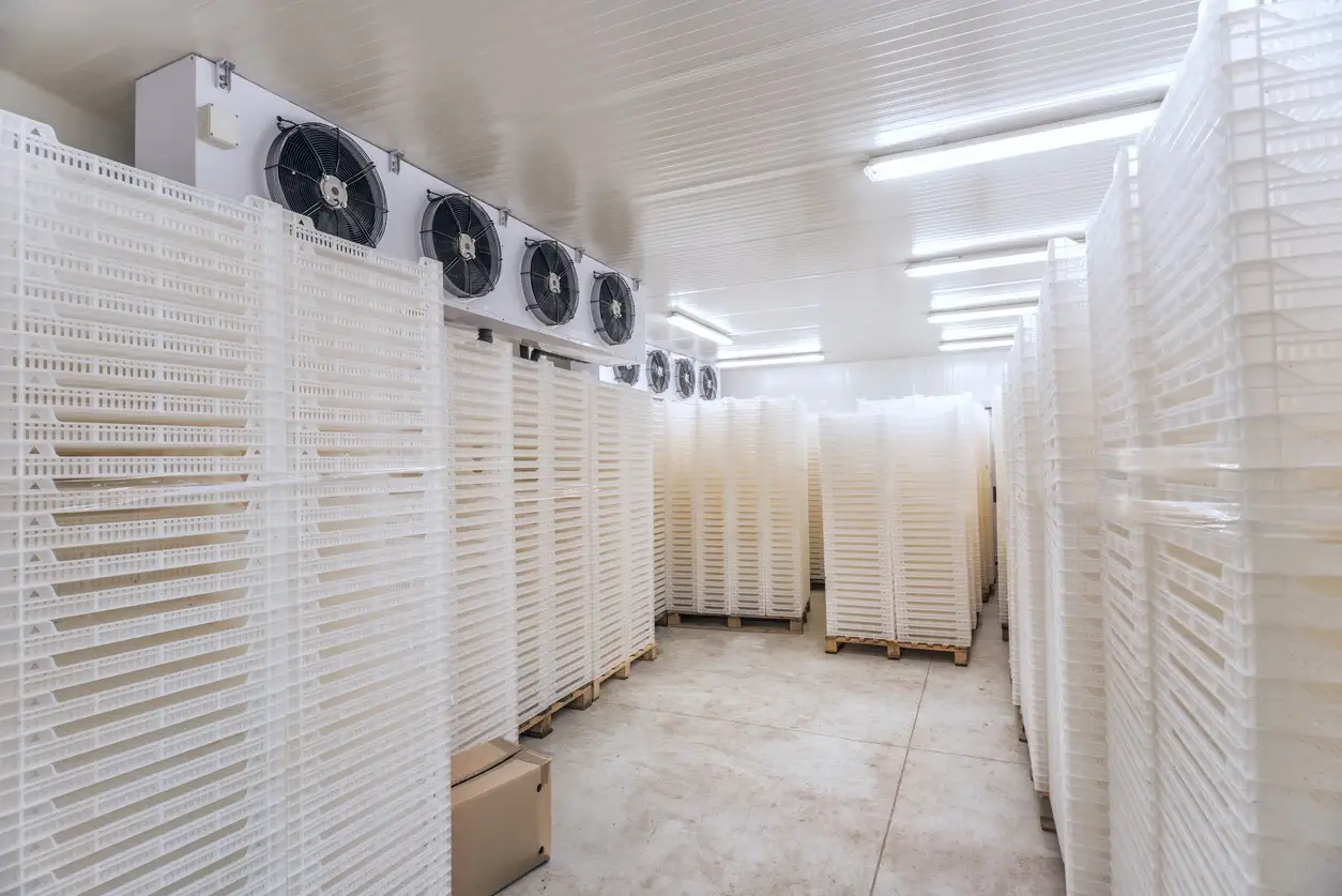 Clean cold storage room with stacked white plastic crates on wheels and a two-fan refrigeration unit