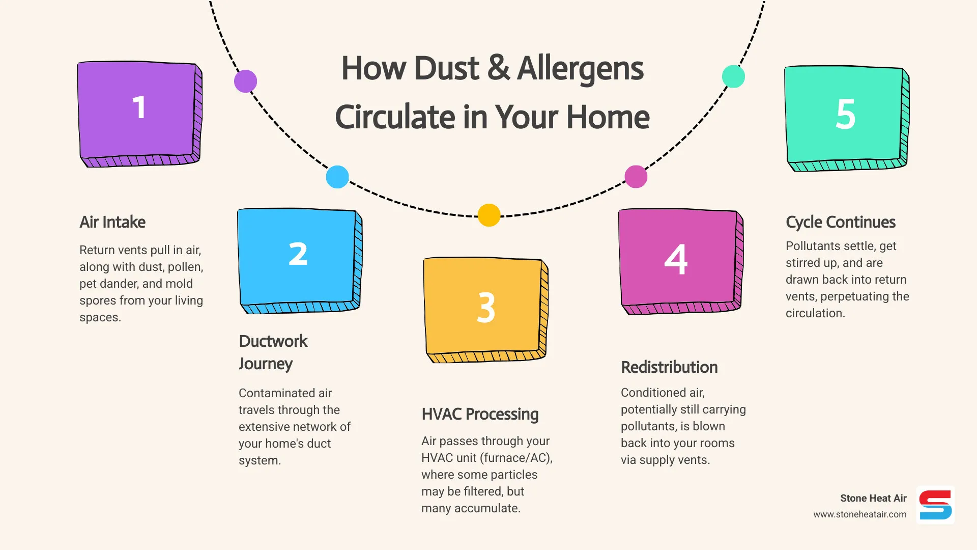 infographic showing how dust, pet dander, pollen, and mold spores circulate through a home HVAC system from return vents through ductwork to supply vents and back into living spaces, with arrows indicating air flow paths and accumulation points in ducts - affordable duct cleaning installation in central point or infographic process-5-steps-informal
